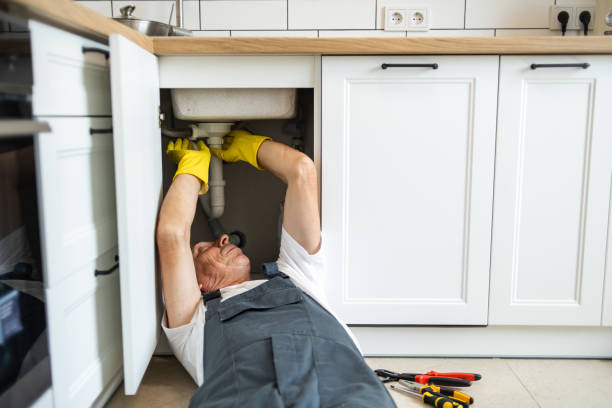 Best Clogged Drain Plumber  in Westminster, MD
